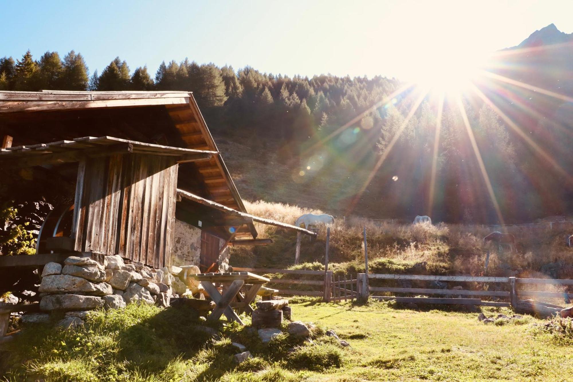 Landhaus Sonnrain Фенделс Екстериор снимка